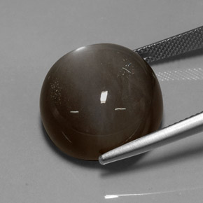 Pierre de lune marron naturelle coupe roude, 29,60 ct, translucide