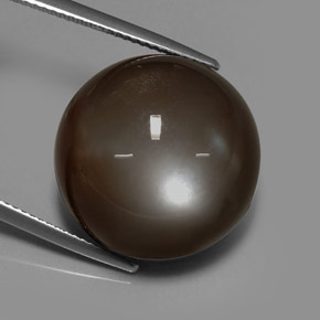 Pierre de lune marron naturelle coupe roude, 30,64 ct, translucide