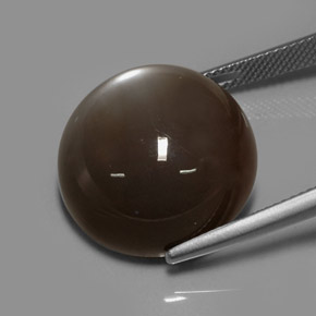 Pierre de lune marron naturelle coupe roude, 30,64 ct, translucide