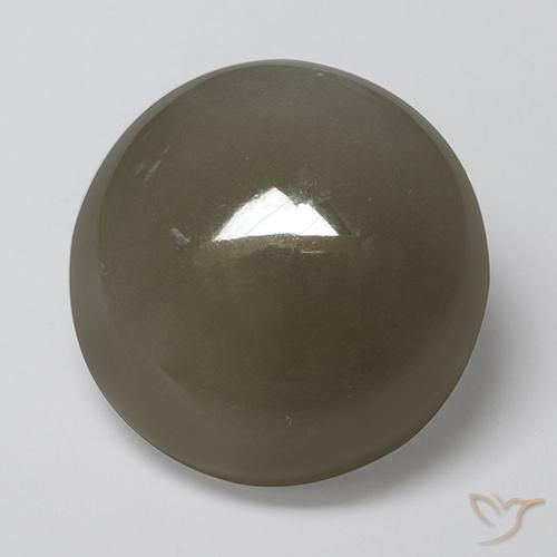 16.89ct Naturel Brun gris Pierre de lune, Tour, Translucide
