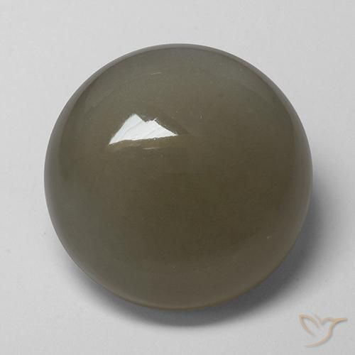 Pierre de lune Brun gris naturelle Tour, 16.89 ct, Translucide