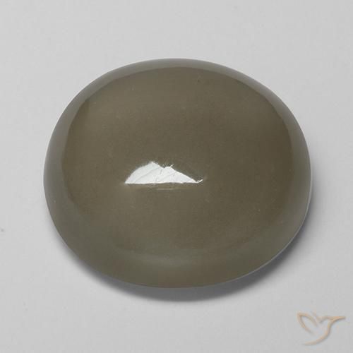 Pierre de lune Brun gris naturelle Tour, 16.89 ct, Translucide