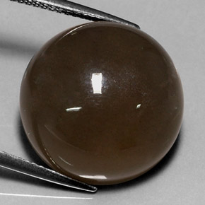 Pierre de lune marron naturelle coupe roude, 18,40 ct, translucide