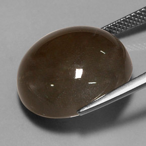 Pierre de lune marron naturelle coupe roude, 18,40 ct, translucide