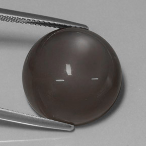Pierre de lune marron naturelle coupe roude, 19,43 ct, translucide