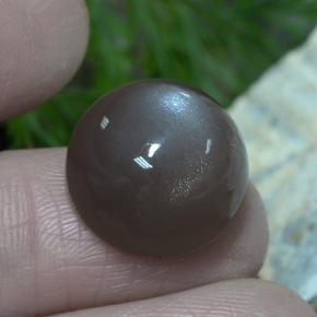 Pierre de lune marron naturelle coupe roude, 12,26 ct, translucide