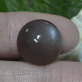 Pierre de lune marron naturelle coupe roude, 12,26 ct, translucide