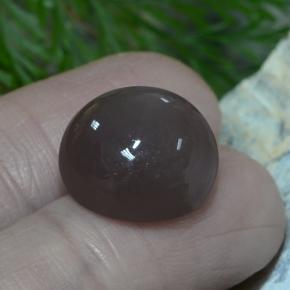 Pierre de lune marron naturelle coupe roude, 12,26 ct, translucide