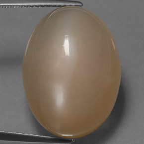 Pierre de lune crème naturelle coupe ovale, 20,29 ct, translucide