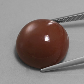 Pierre de lune marron naturelle coupe roude, 20,66 ct, opaque