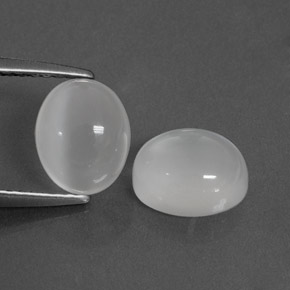 Achetez naturel ct blanc pierre de lune gems, transparent, en provenance inde chez gemselect. en stock, livraison internationale!