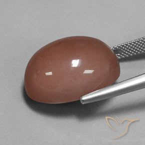 Pierre de lune Brun moyen naturelle ovale, 23.67 ct, Opaque