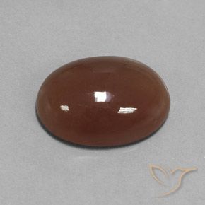 Pierre de lune Brun moyen naturelle ovale, 16.52 ct, Translucide