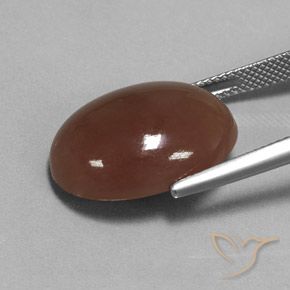 Pierre de lune Brun moyen naturelle ovale, 16.52 ct, Translucide