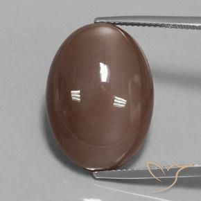 23.78ct Naturel Brun moyen Pierre de lune, ovale, Opaque