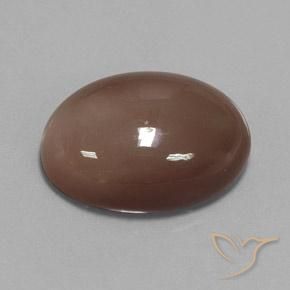 Pierre de lune Brun moyen naturelle ovale, 23.78 ct, Opaque