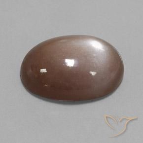 Pierre de lune Brun moyen naturelle ovale, 22.65 ct, Opaque