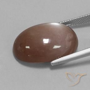 Pierre de lune Brun moyen naturelle ovale, 22.65 ct, Opaque