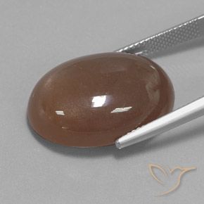 Pierre de lune Brun espresso naturelle ovale, 22.15 ct, Opaque