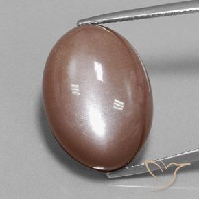 28.75ct Naturel Brun Pierre de lune, ovale, Opaque