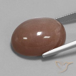 Pierre de lune Brun naturelle ovale, 28.75 ct, Opaque