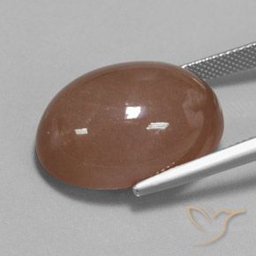 Pierre de lune Brun moyen naturelle ovale, 27.61 ct, Opaque