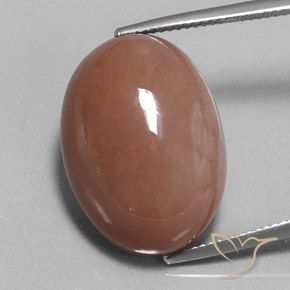 25.17ct Naturel Marron chaud Pierre de lune, ovale, Opaque