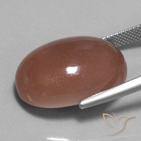 Pierre de lune Marron chaud naturelle ovale, 25.17 ct, Opaque