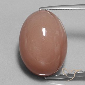 31.34ct Naturel Brun cannelle léger Pierre de lune, ovale, Opaque