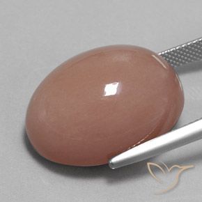 Pierre de lune Brun cannelle léger naturelle ovale, 31.34 ct, Opaque