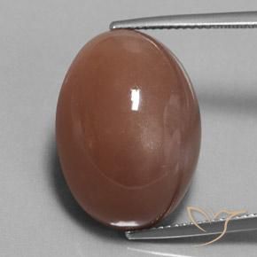 25.38ct Naturel Brun Pierre de lune, ovale, Opaque