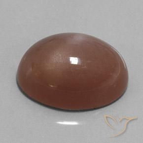 Pierre de lune Brun naturelle ovale, 25.38 ct, Opaque