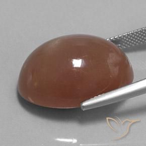 Pierre de lune Brun naturelle ovale, 25.38 ct, Opaque