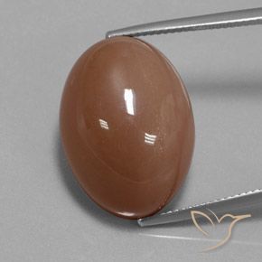 30.83ct Naturel Brun Pierre de lune, ovale, Opaque