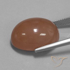 Pierre de lune Brun naturelle ovale, 30.83 ct, Opaque