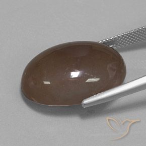 Pierre de lune Brun moyen naturelle ovale, 22.19 ct, Opaque