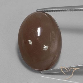 20.61ct Naturel Brun moyen Pierre de lune, ovale, Opaque