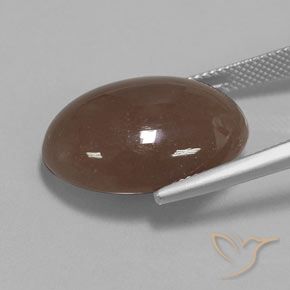 Pierre de lune Brun moyen naturelle ovale, 20.61 ct, Opaque