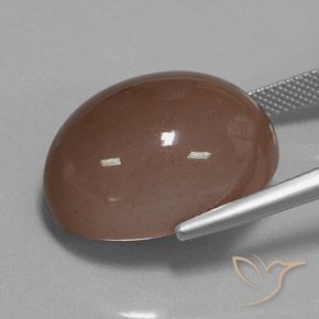 Pierre de lune Brun naturelle ovale, 30.75 ct, Opaque