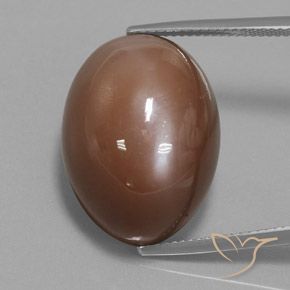 31.30ct Naturel Marron chaud Pierre de lune, ovale, Opaque