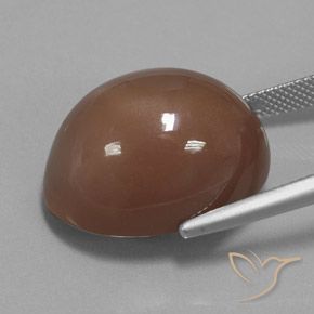Pierre de lune Marron chaud naturelle ovale, 31.30 ct, Opaque