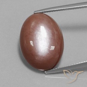 18.74ct Naturel Brun cannelle Pierre de lune, ovale, Opaque