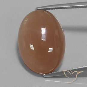 19.57ct Naturel Brun moyen Pierre de lune, ovale, Translucide
