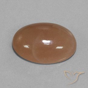 Pierre de lune Brun moyen naturelle ovale, 19.57 ct, Translucide