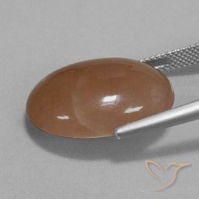 Pierre de lune Brun moyen naturelle ovale, 19.57 ct, Translucide