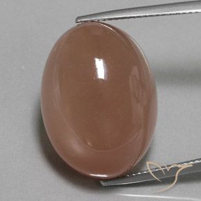 29.74ct Naturel Brun Pierre de lune, ovale, Opaque