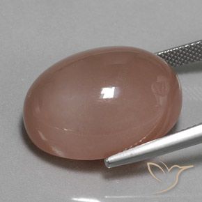 Pierre de lune Brun naturelle ovale, 29.74 ct, Opaque