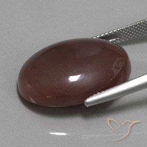 Pierre de lune Brun moyen naturelle ovale, 18.53 ct, Opaque