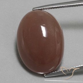 23.37ct Naturel Brun moyen Pierre de lune, ovale, Opaque