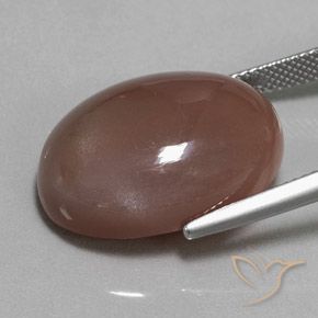 Pierre de lune Brun moyen naturelle ovale, 23.37 ct, Opaque